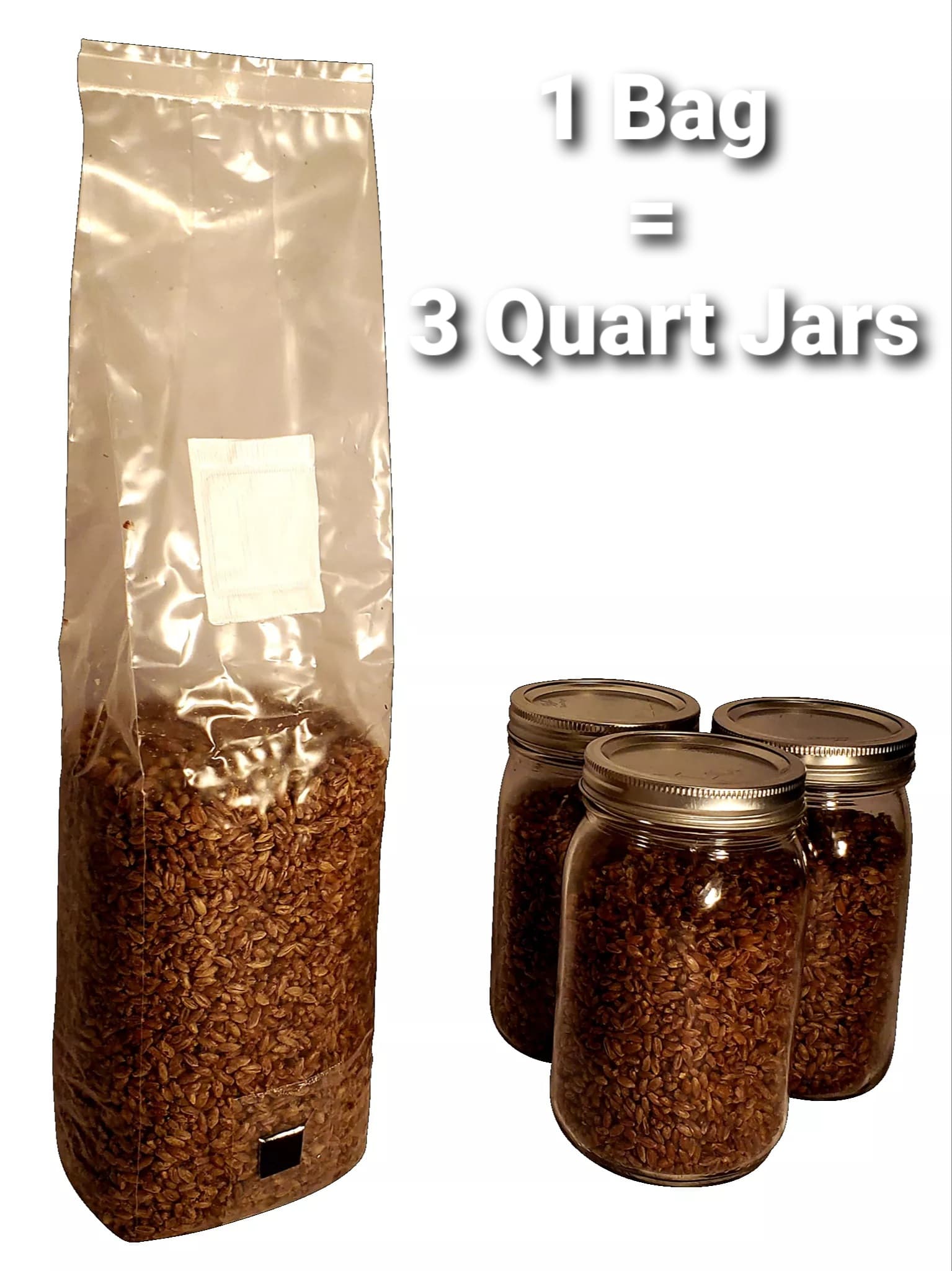 Three Pound Milo 3lbs Bag of Sterilized Hydrated Grain 