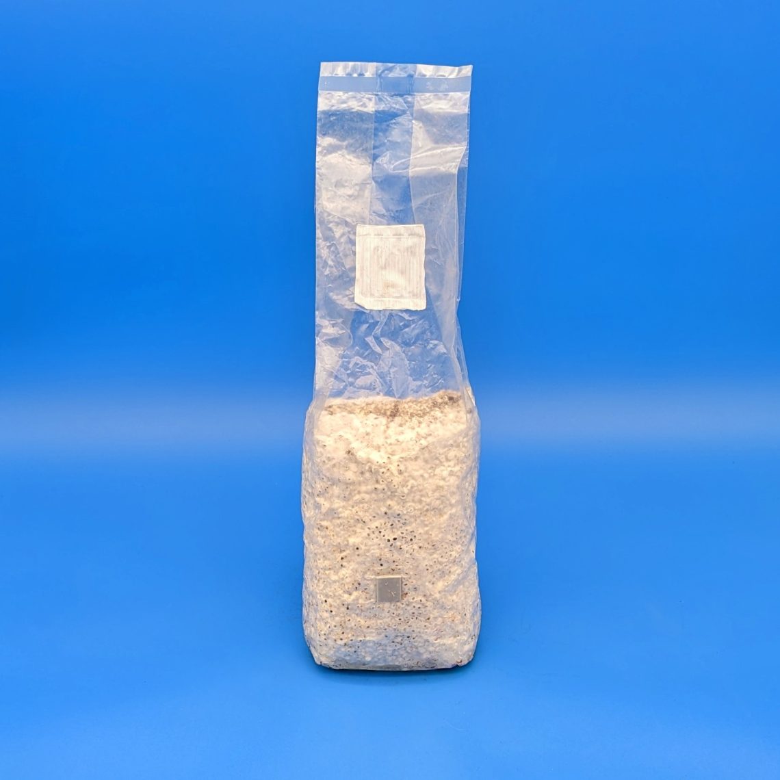 Grain Spawn Spawn Magic