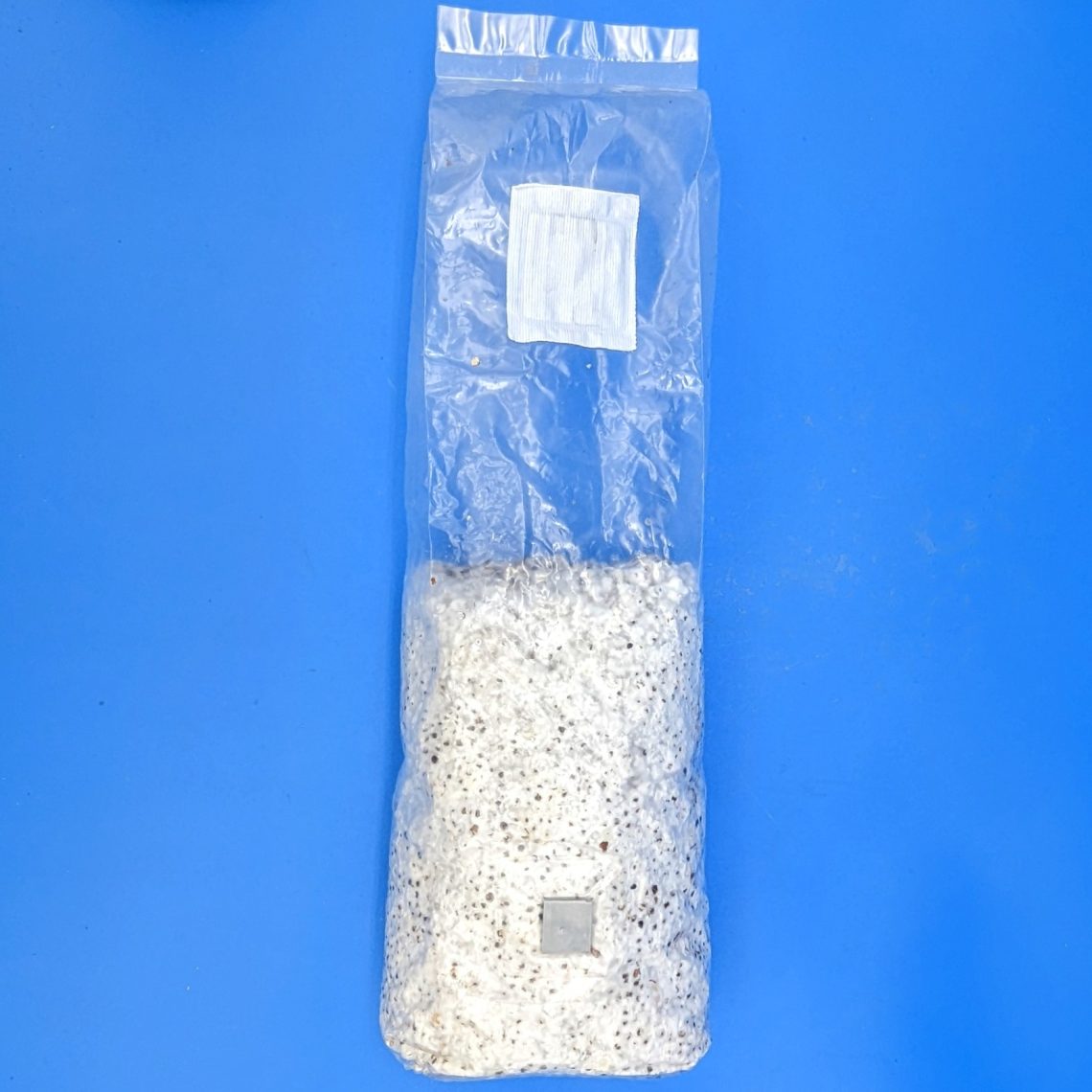 Grain Spawn Spawn Magic