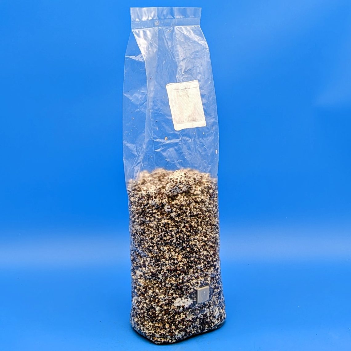 Grain Spawn Spawn Magic