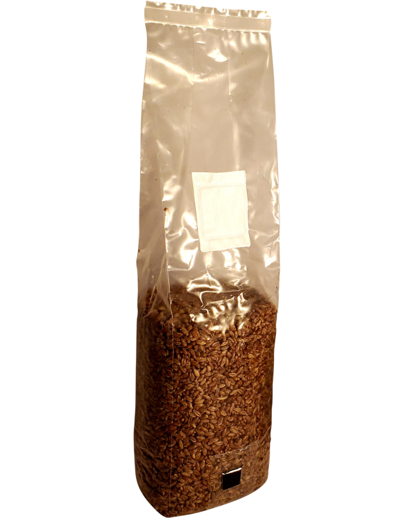 Sterilized Grain Spawn (3 lbs bags) - Milo (sorghum) Grain