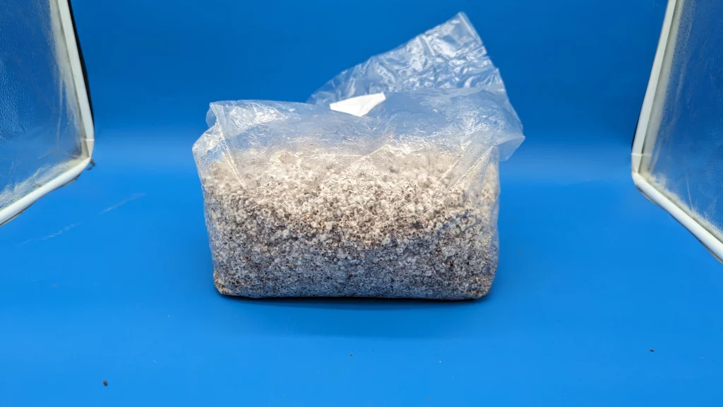 making mushroom grain spawn in bags