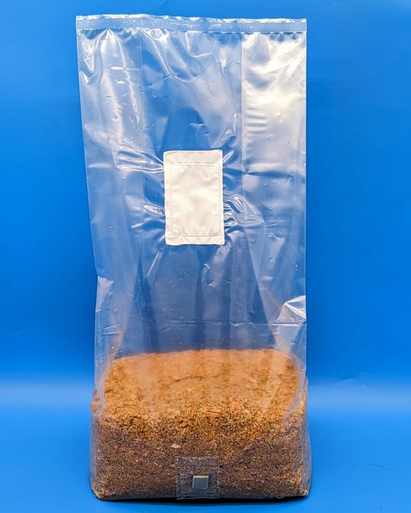 sterilized grain spawn for wood-loving mushrooms - masters mix bulk substrate