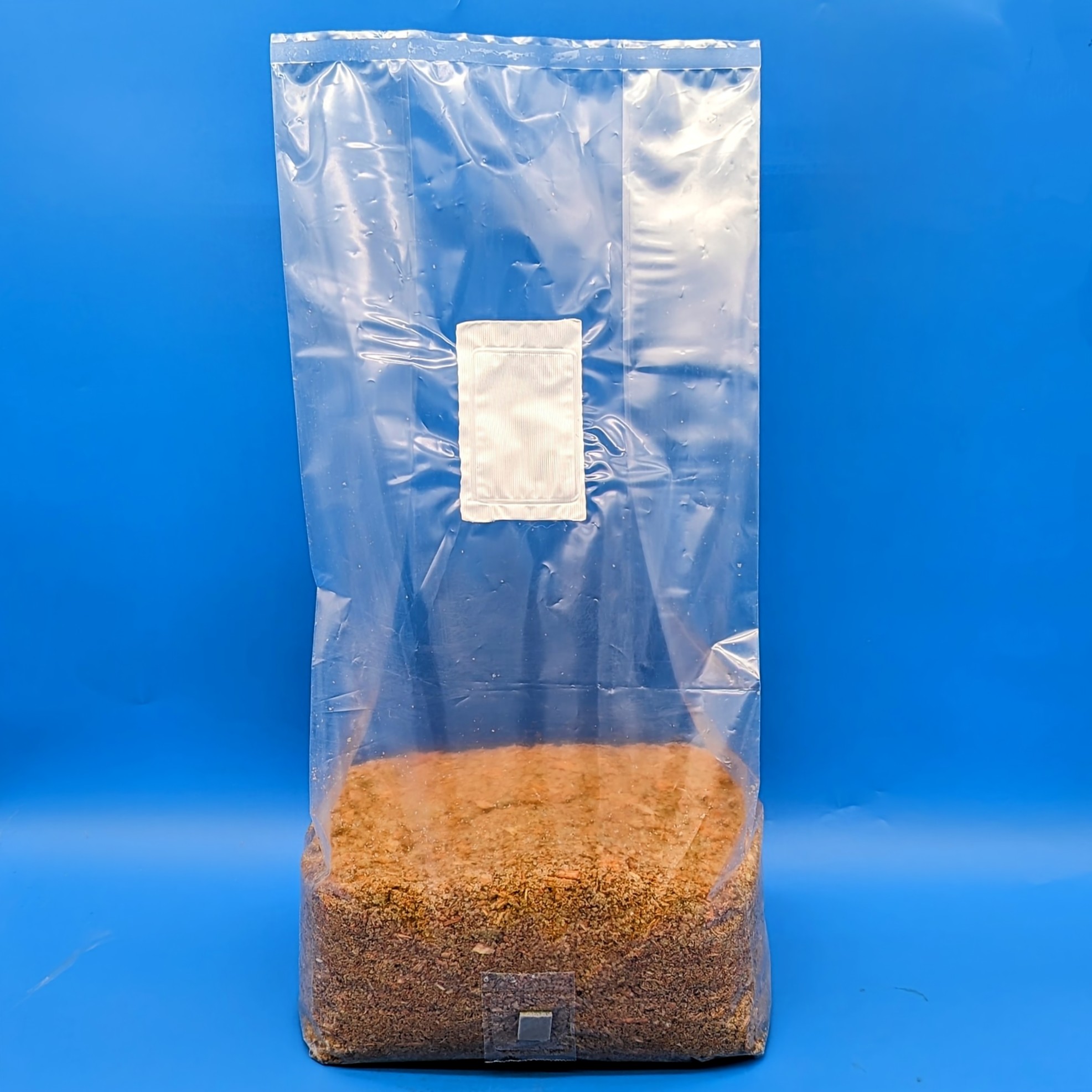 sterilized grain spawn for wood-loving mushrooms - masters mix bulk substrate