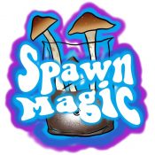 Spawn Magic